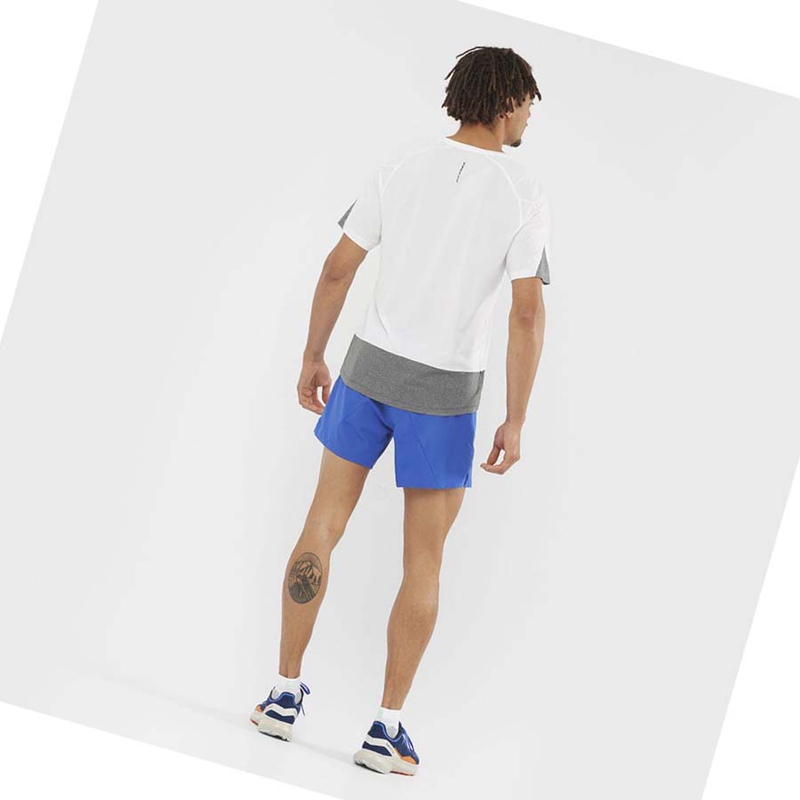 Salomon CROSS RUN T-shirt Herr Vita | ZISDVUE-81