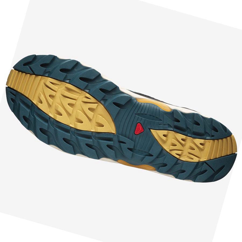 Salomon XA PRO 1 MID GORE-TEX Sneakers Dam Bruna Blå | OHFBVWS-63